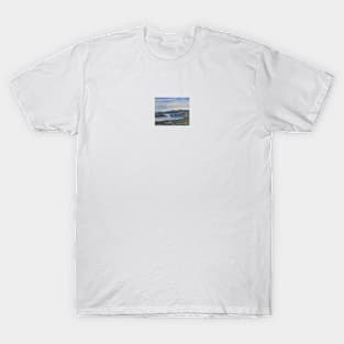 Winter in Lakeland T-Shirt